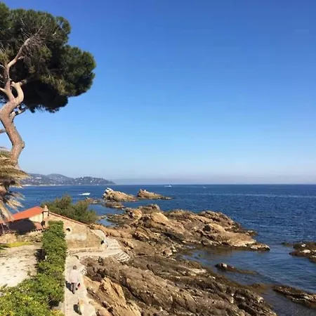 Beau T2 - St Clair Appartement